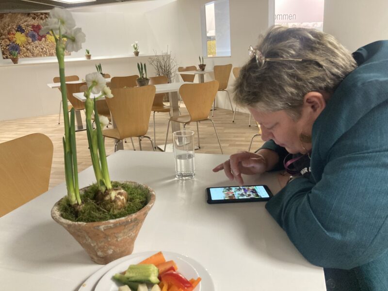 ... täglich grüßt der Facebookpost