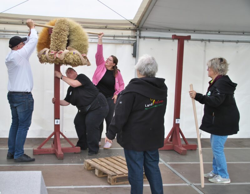 dieTeams helfen sich untereinander