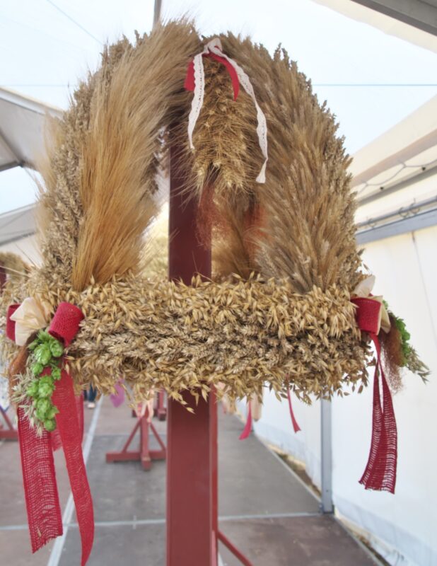 Die Peickwitzerinnen, Landkreis Oberspreewald-Lausitz